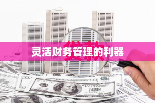 封丘灵活财务管理的利器