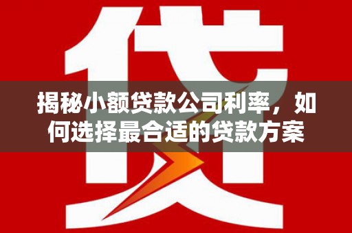 封丘揭秘小额贷款公司利率，如何选择最合适的贷款方案