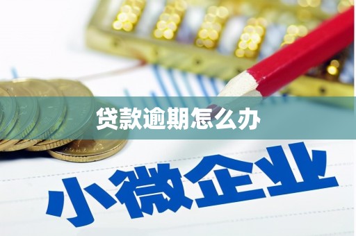 封丘贷款逾期怎么办