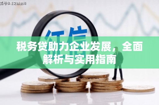 封丘税务贷助力企业发展，全面解析与实用指南