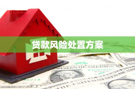 封丘贷款风险处置方案